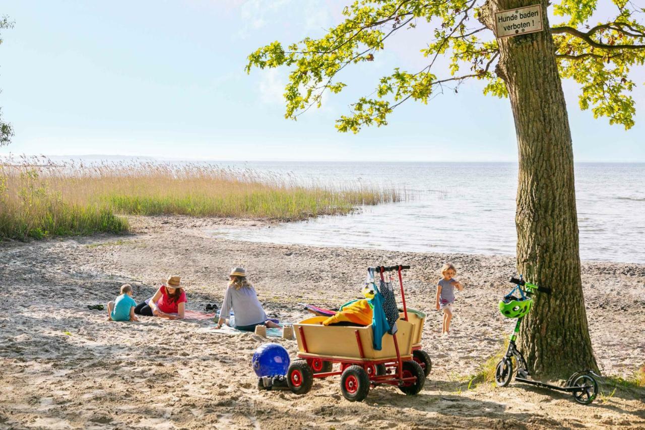 Mueritzparadies - Feriendorf Alte Fahrt Rechlin Buitenkant foto