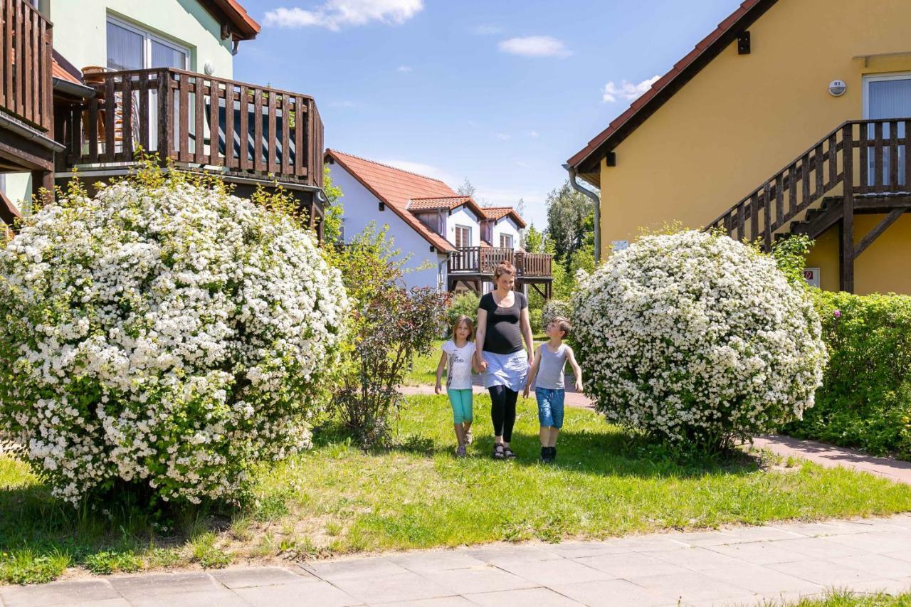Mueritzparadies - Feriendorf Alte Fahrt Rechlin Buitenkant foto